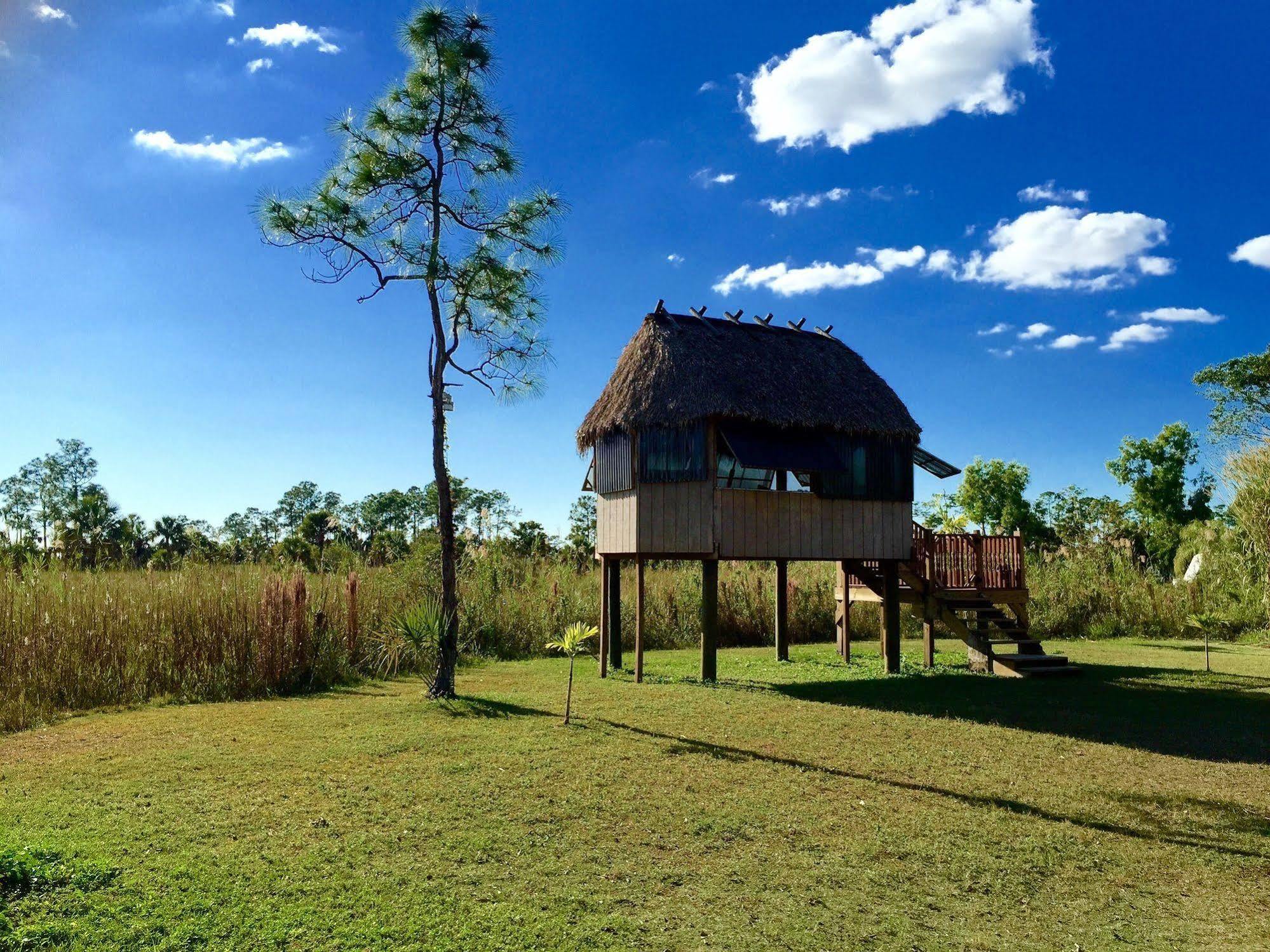 Everglades Chickee Cottage & Bungalow - Ochopee Luaran gambar