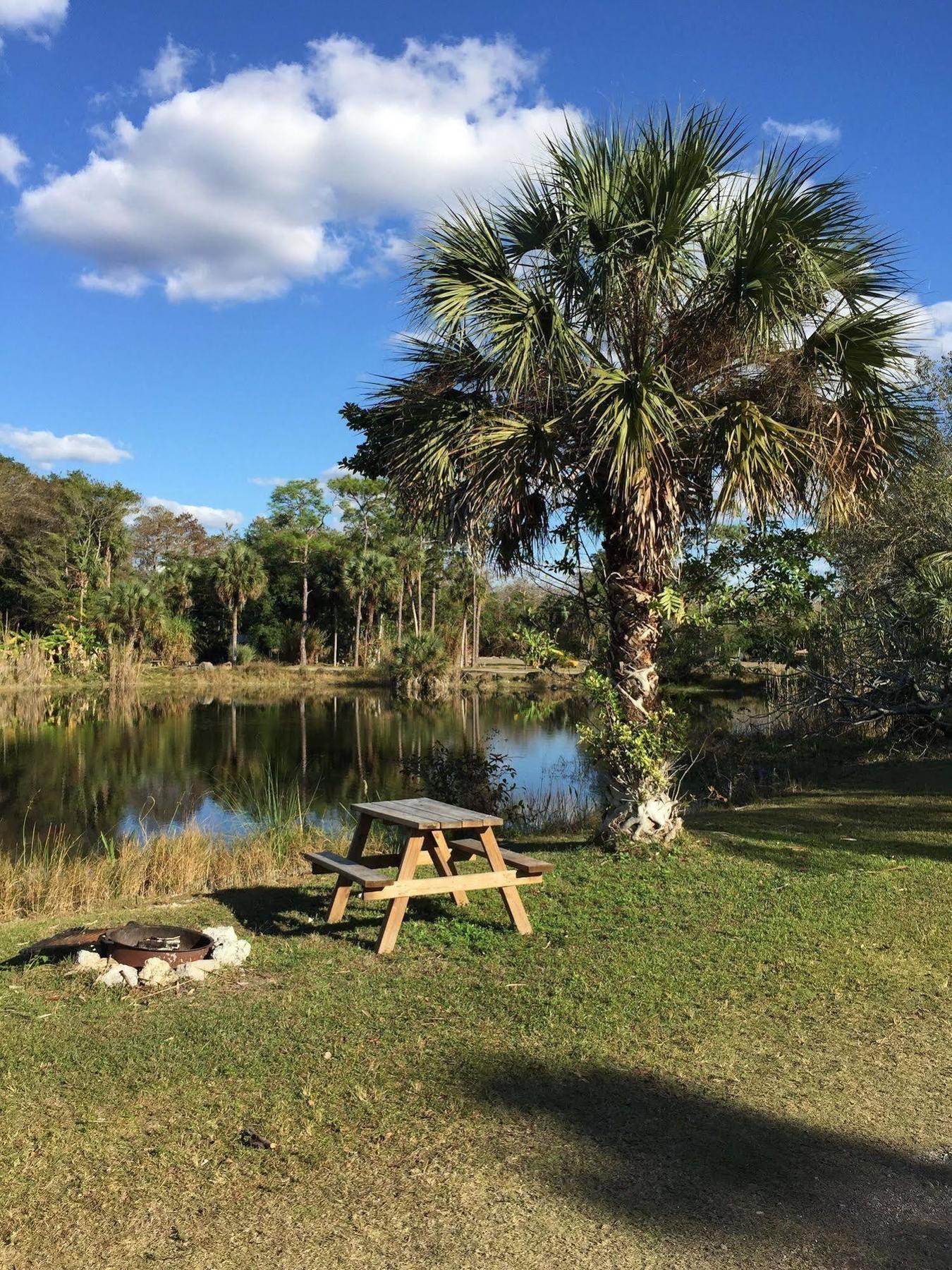 Everglades Chickee Cottage & Bungalow - Ochopee Luaran gambar